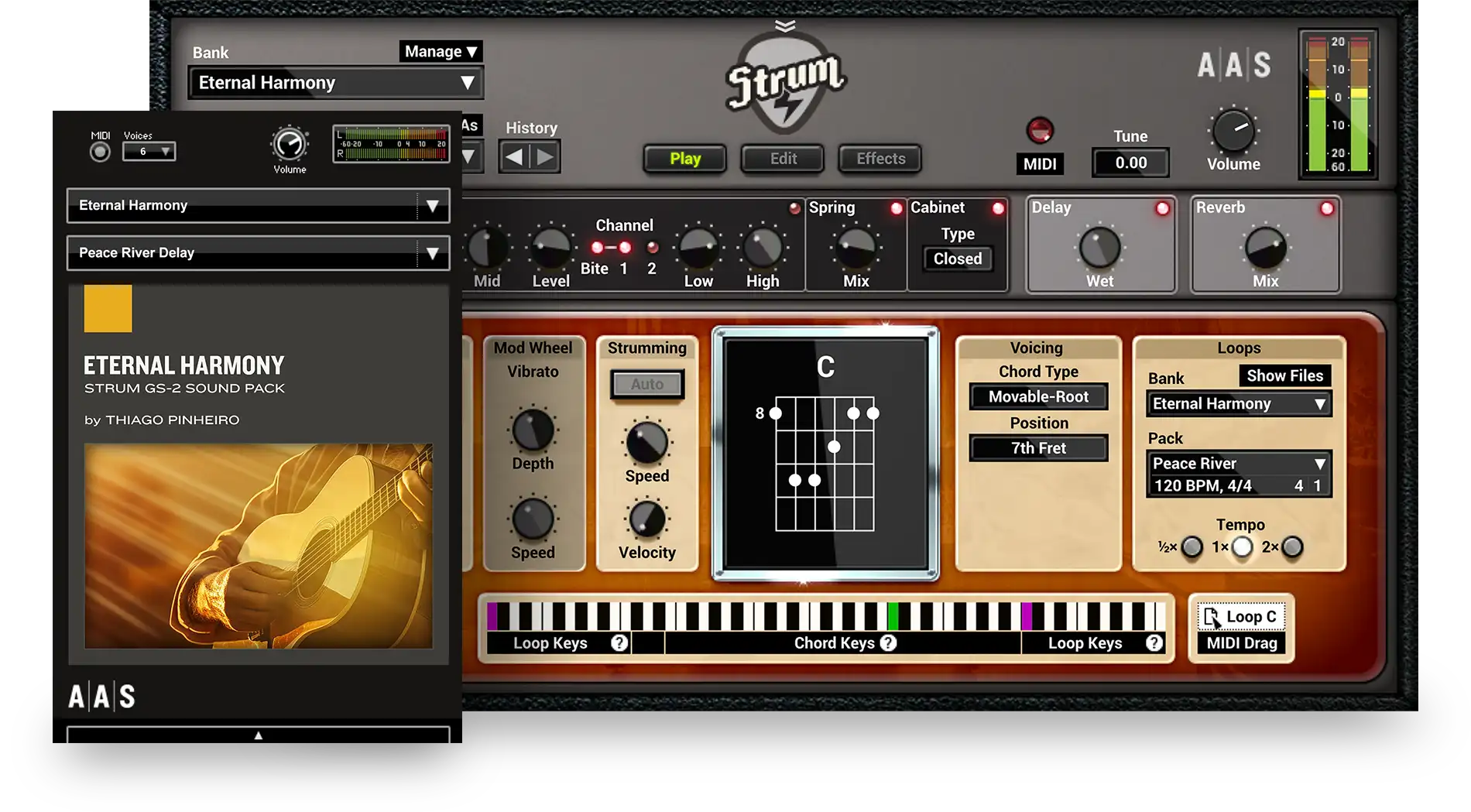 Eternal Harmony instruments