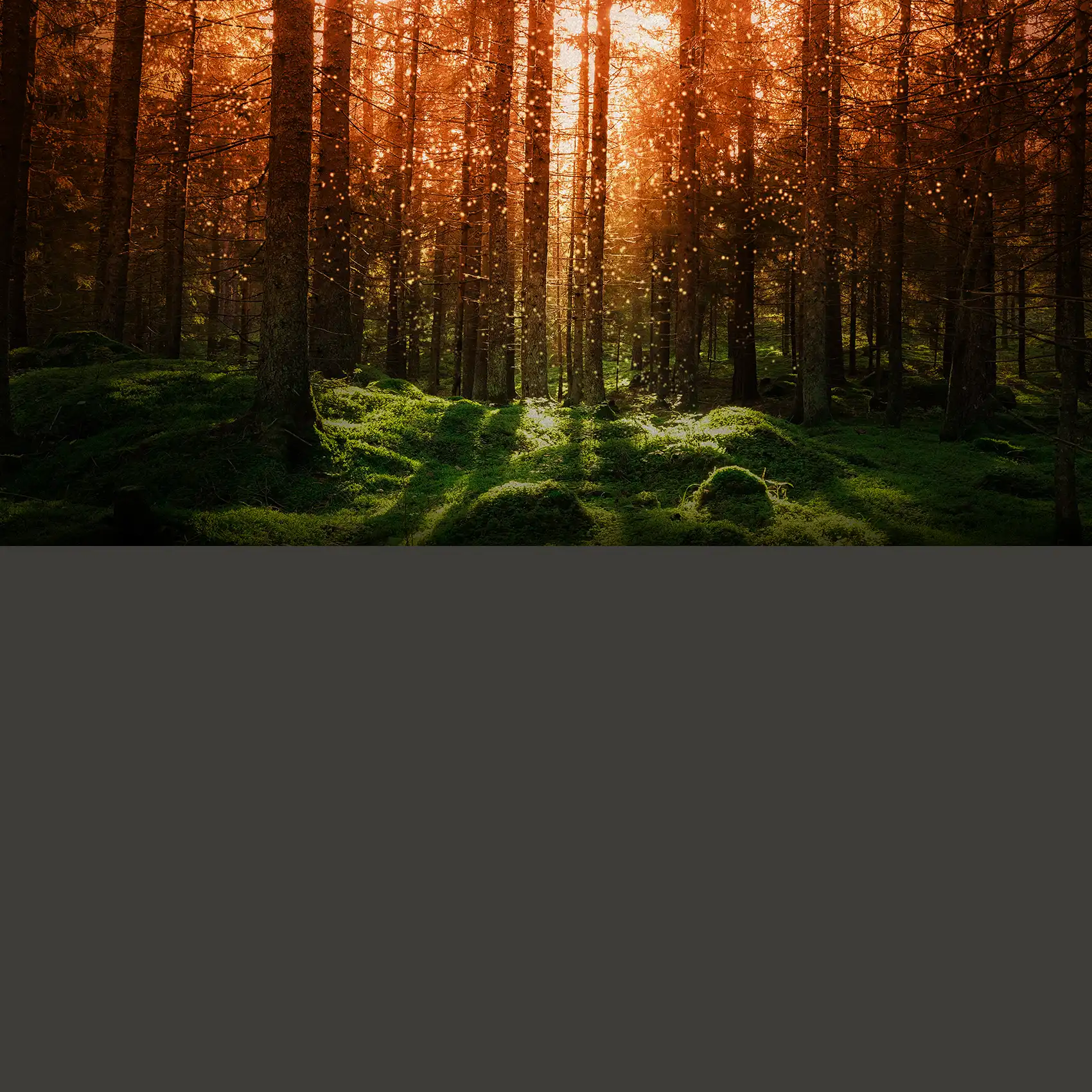 Mystique String Studio VS‑3 sound pack