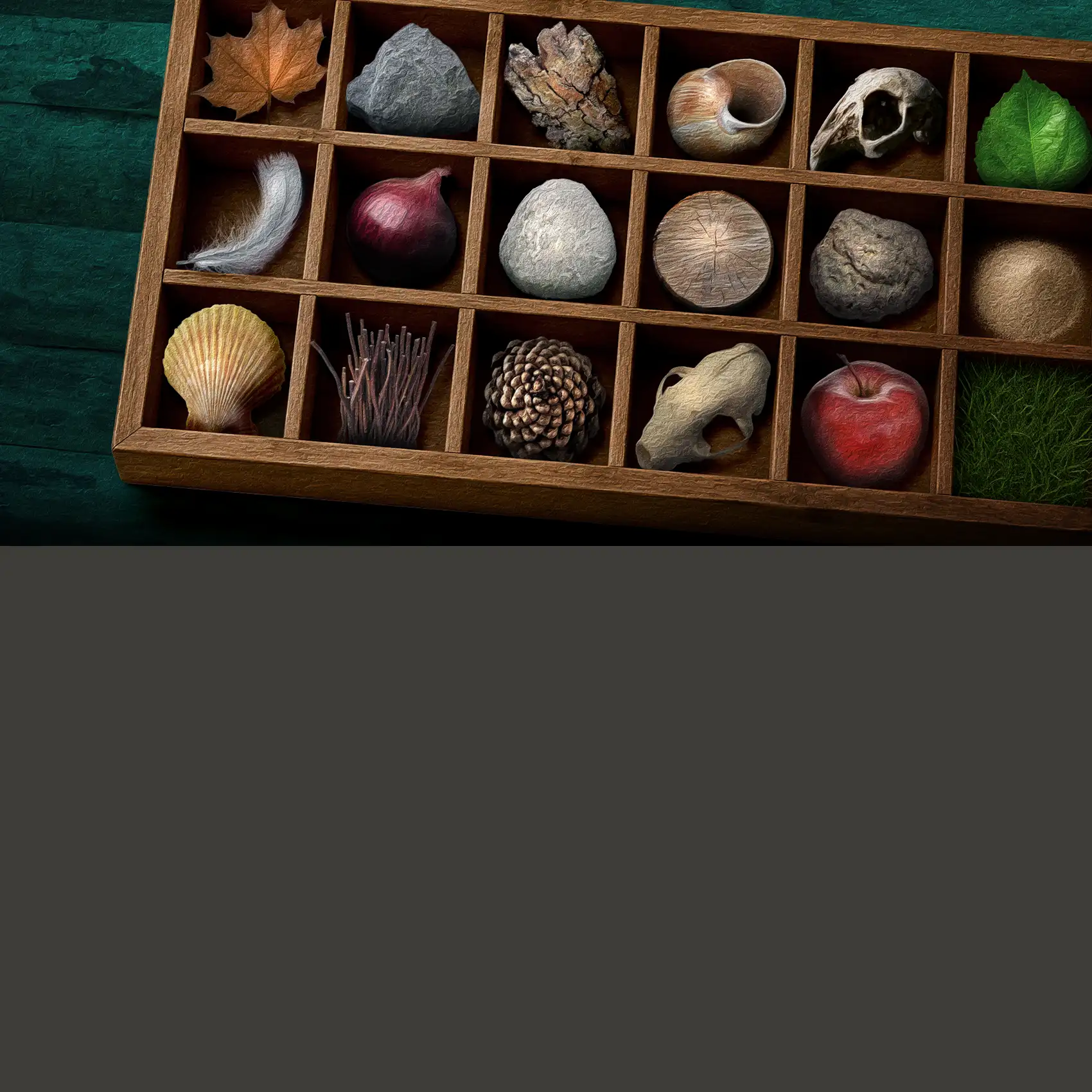 Organix Chromaphone 3 sound pack