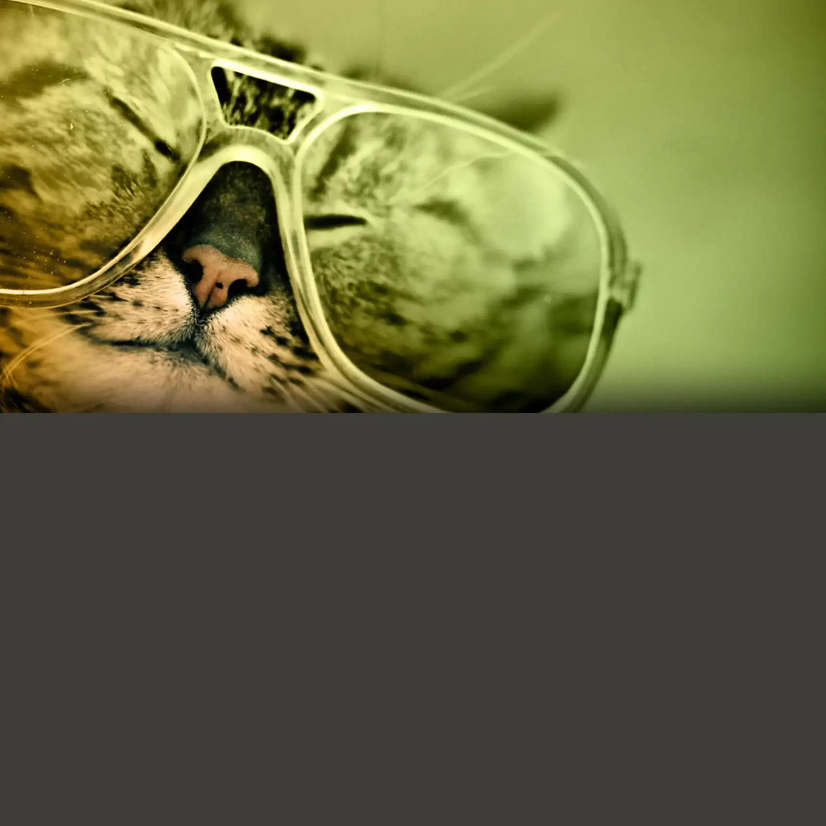 Tabby Dance Ultra Analog VA‑3 sound pack