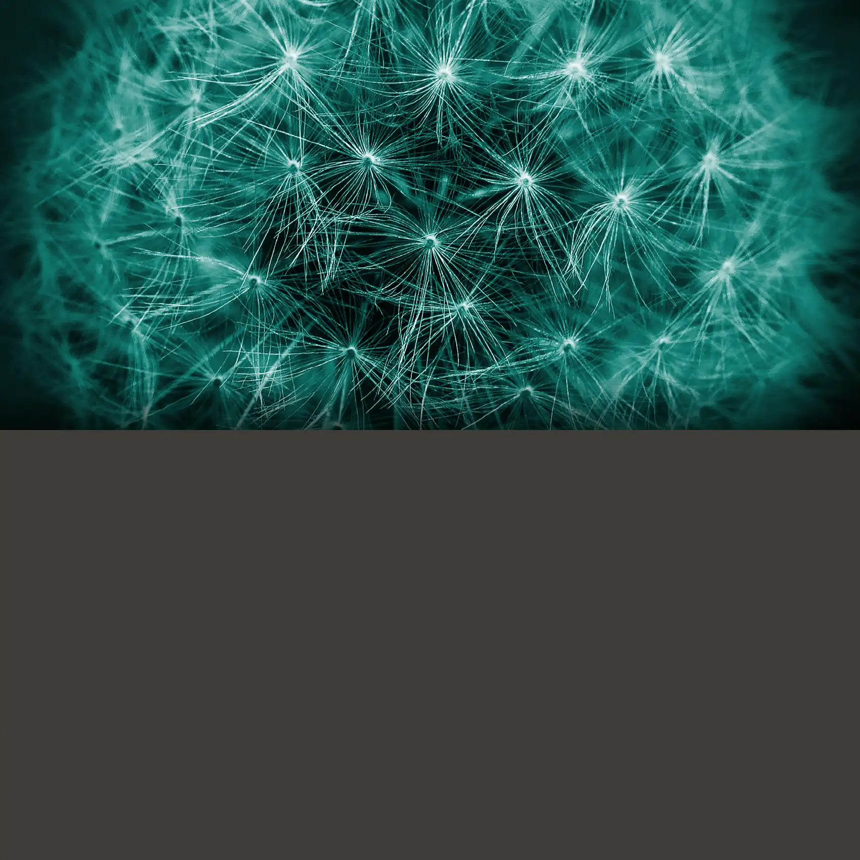 Transmutation Chromaphone 3 sound pack