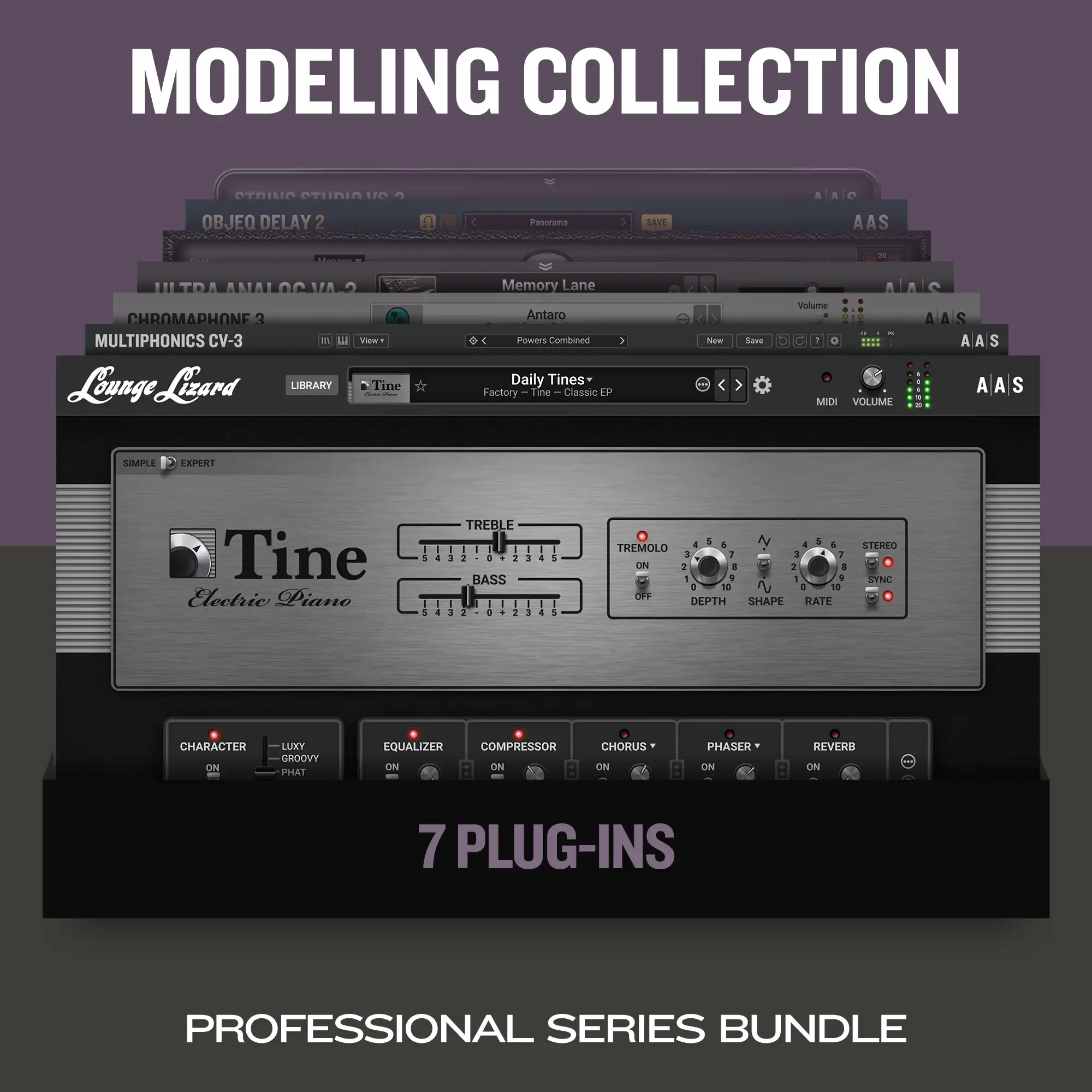 Modeling Collection