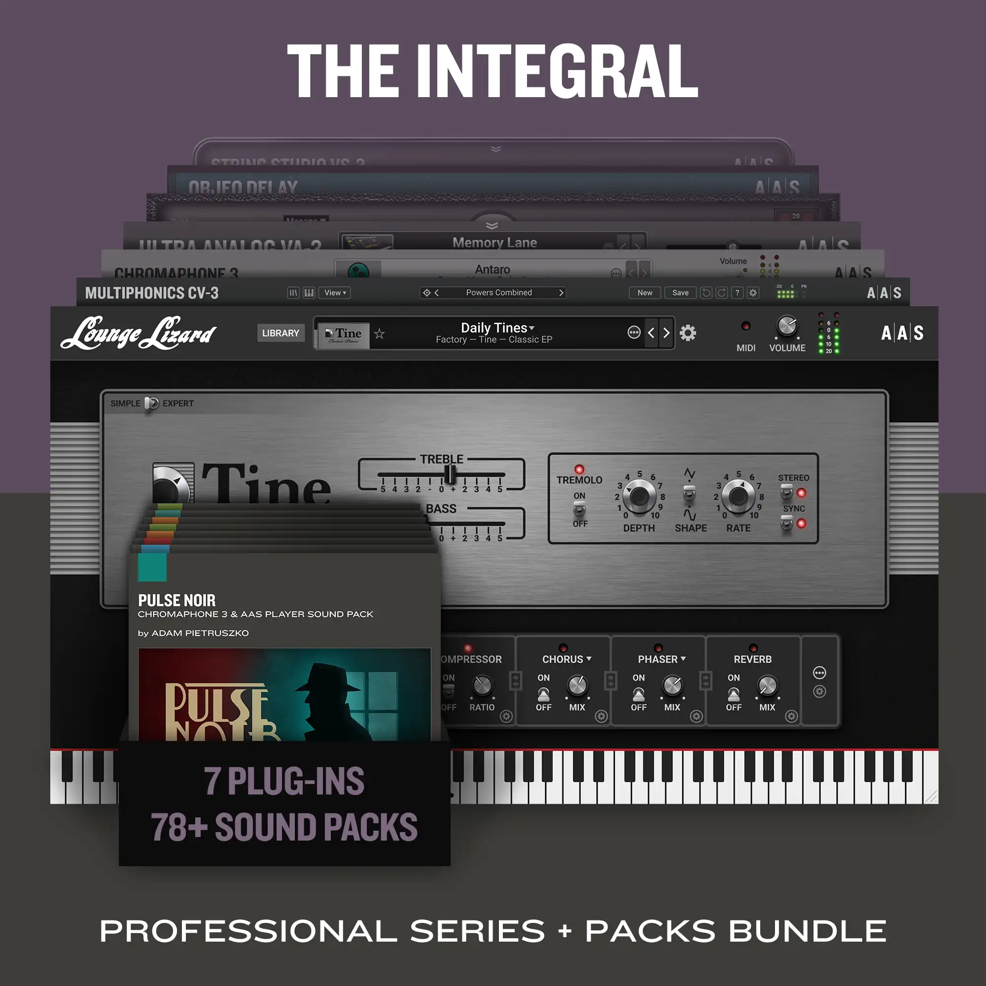 The Integral