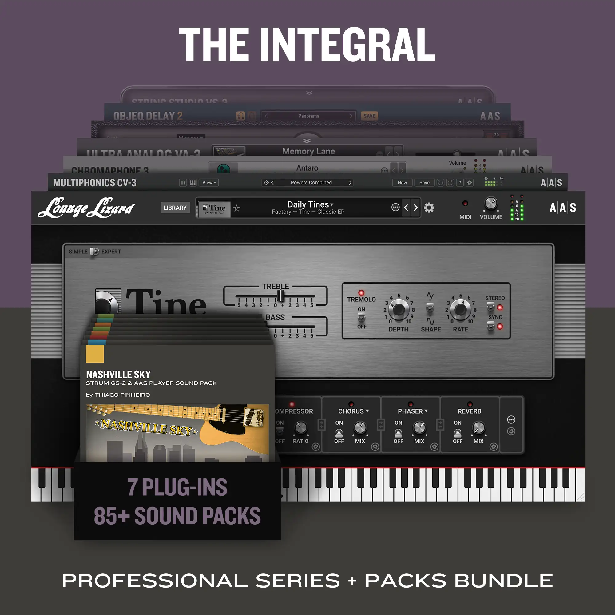 The Integral