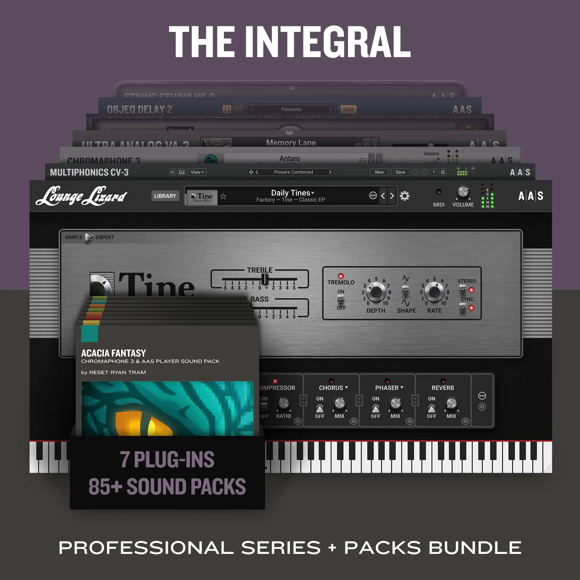 The Integral