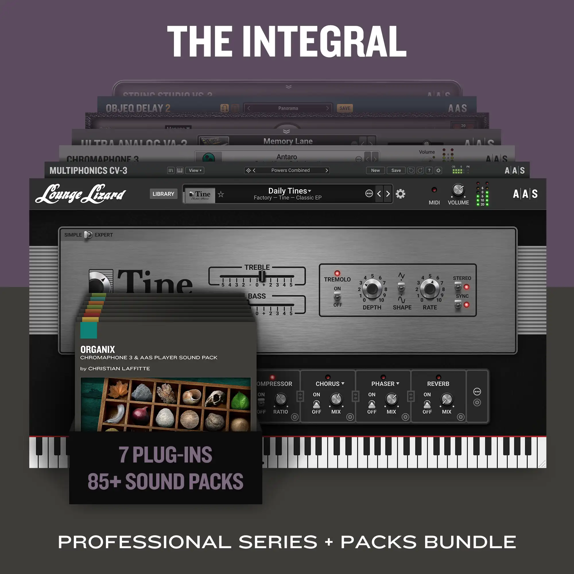 The Integral