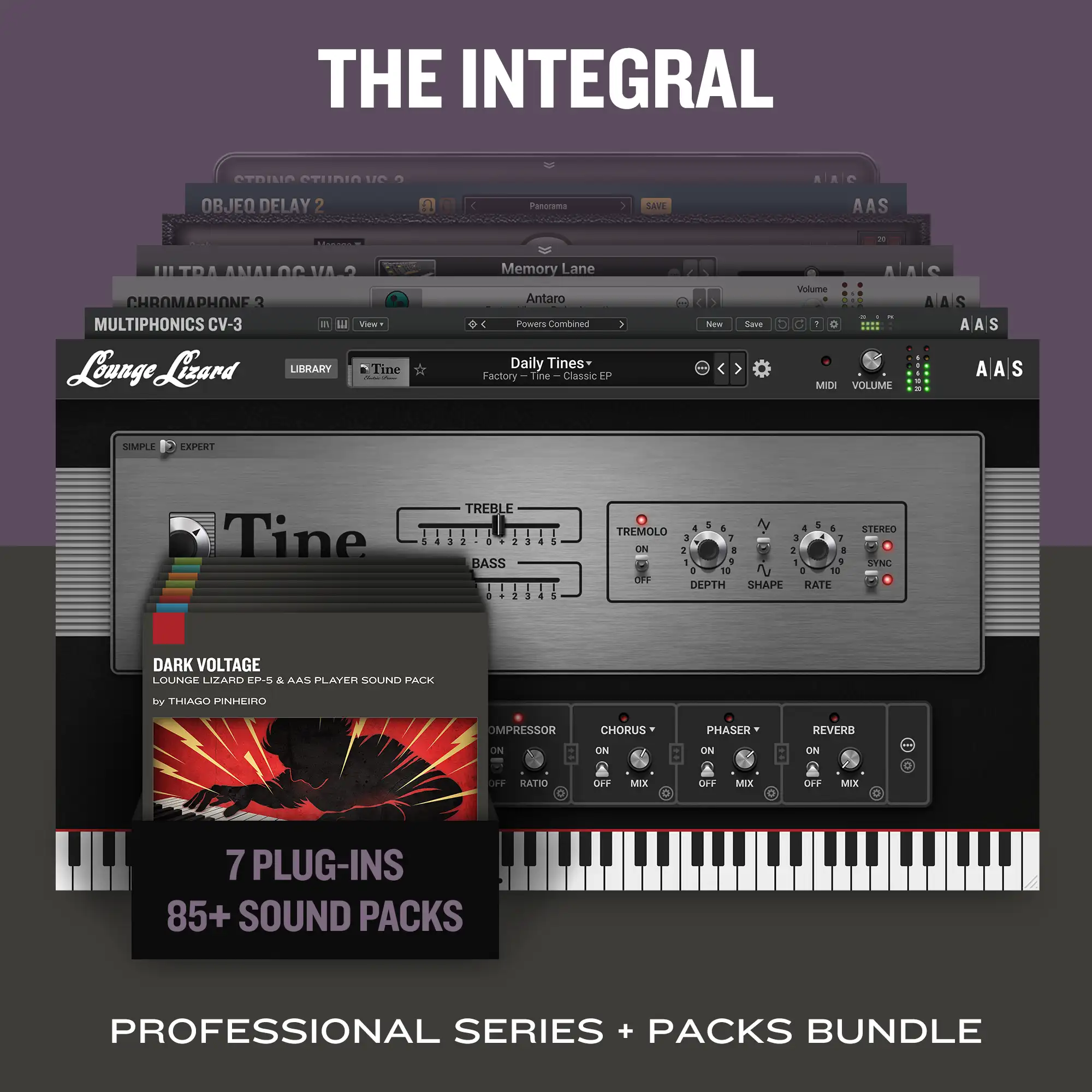 The Integral