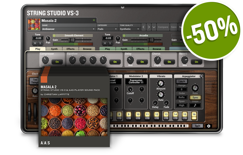 String Studio VS-3 +PACKS