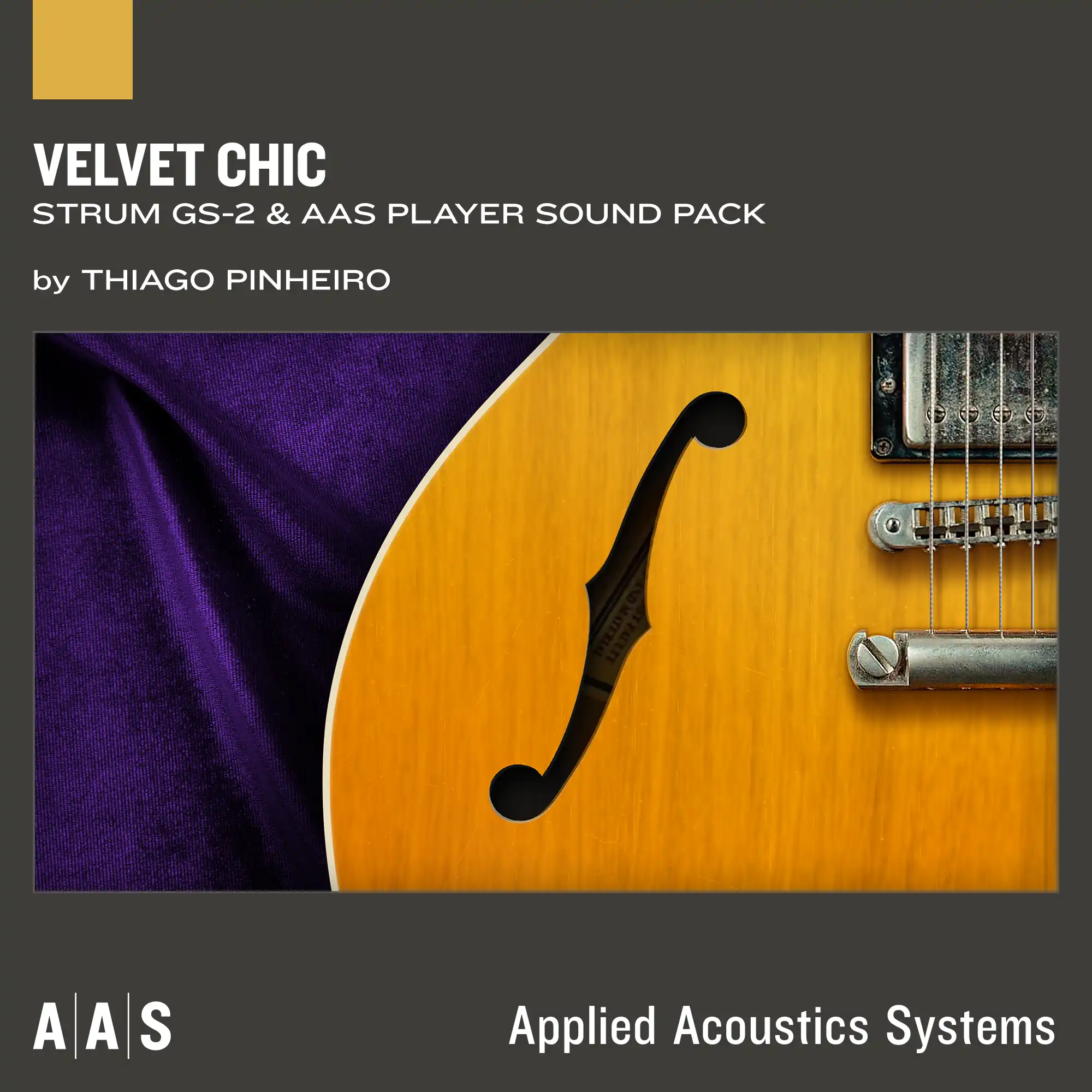 Velvet Chic—Thiago Pinheiro sound pack for Strum GS-2